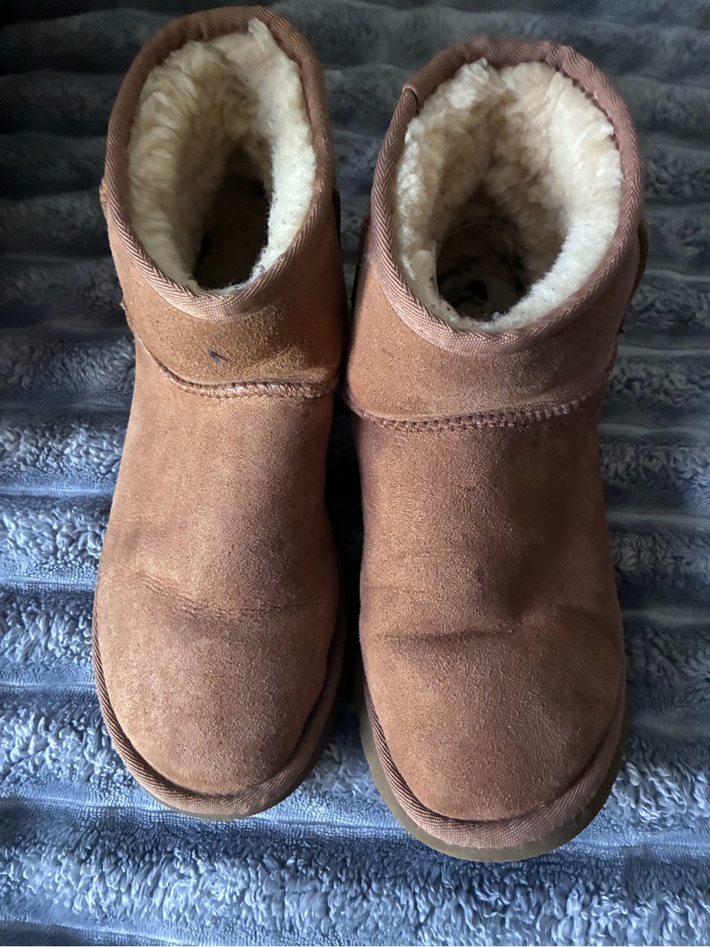 UGG Classic Mini Chesnut size 7 - Picture 6 of 7